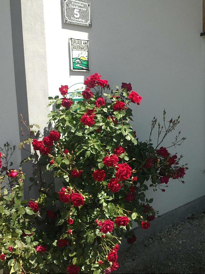 Lambrechten Schnatterhof 빌라 외부 사진